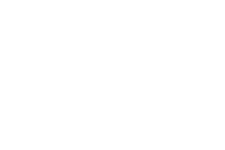 Origen Bellota